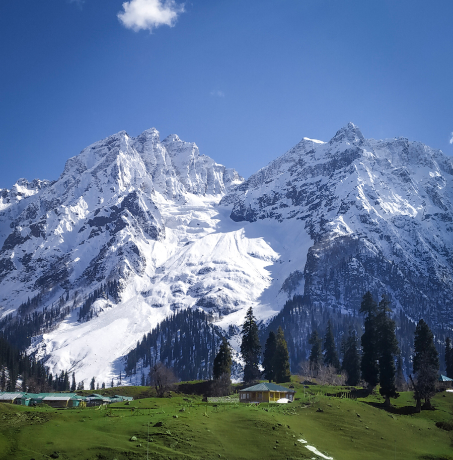 untitled design (14)