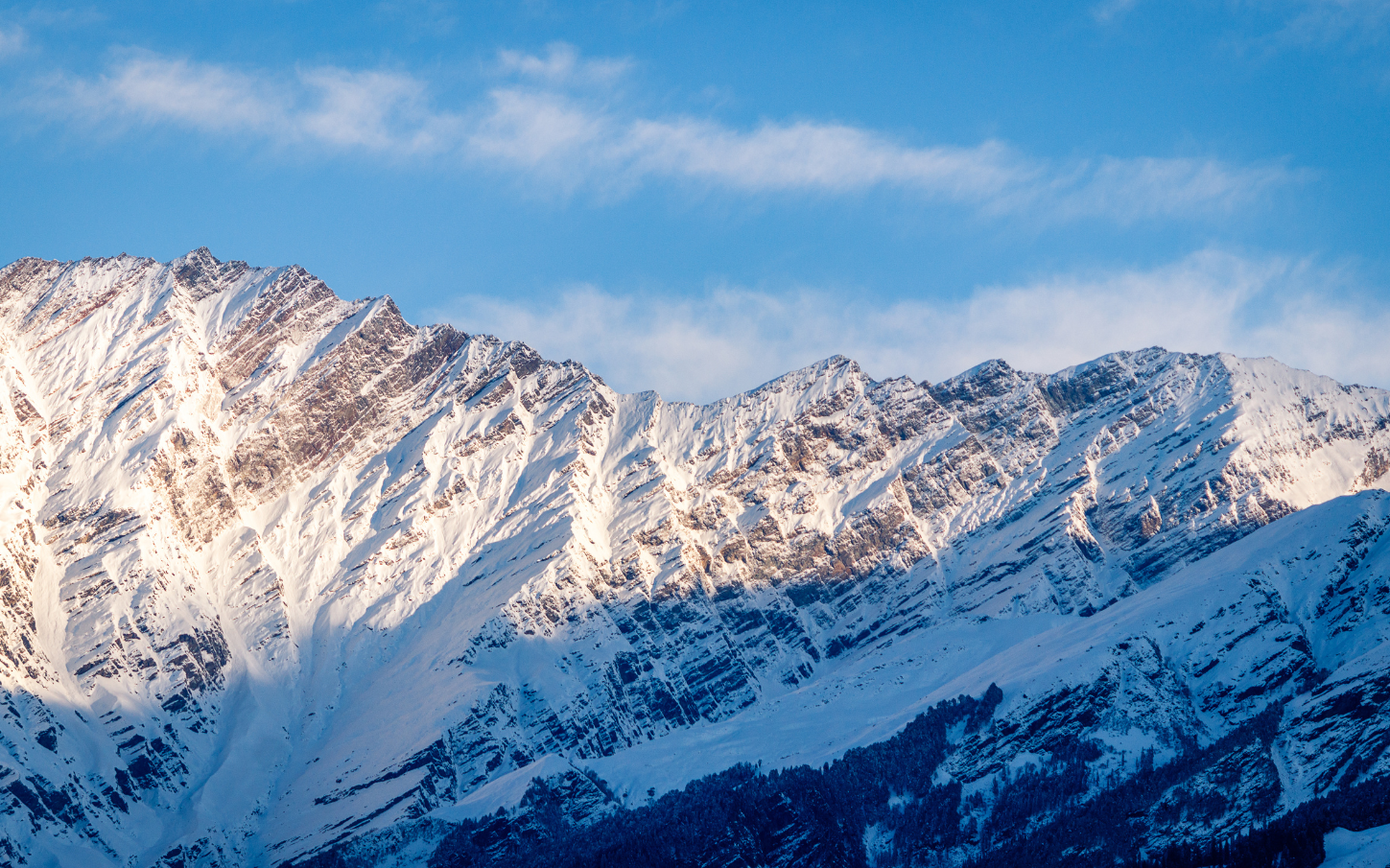 untitled design (17)